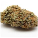 Шишки AK47  (Гидропоника, Бошка) VHQ в Улан-Удэ